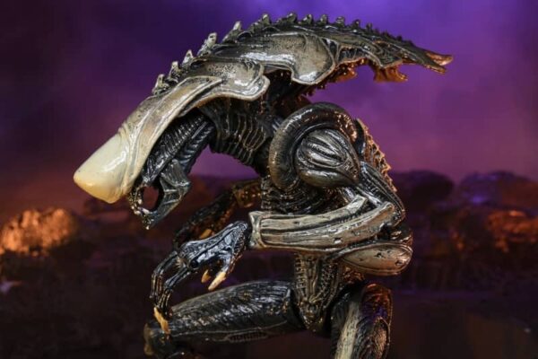 Alien vs Predator Chrysalis Movie Deco 722 Scale 4