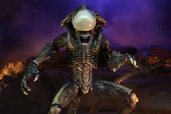 Alien vs Predator Chrysalis Movie Deco 722 Scale 5