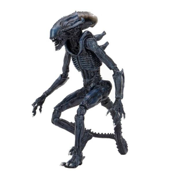 Alien vs. Predator Arachnoid Movie Deco 722 Scale 5