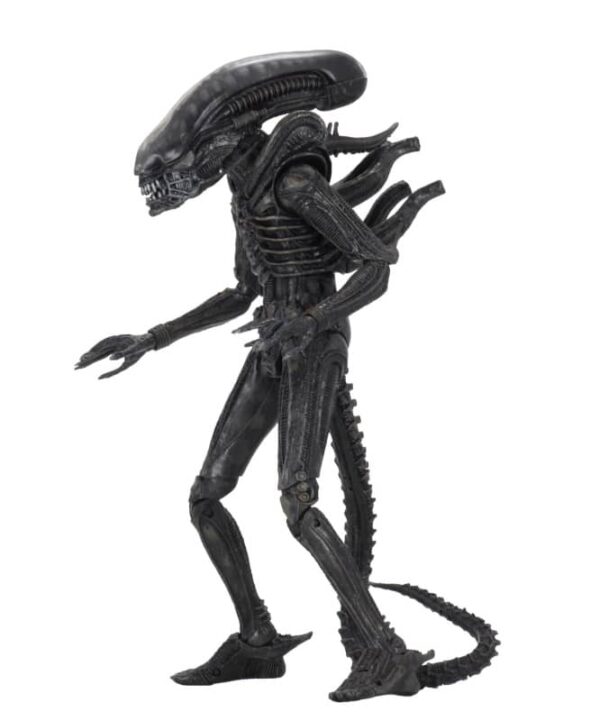 40th Anniversary Alien Big Chap Ultimate Action Figure 14