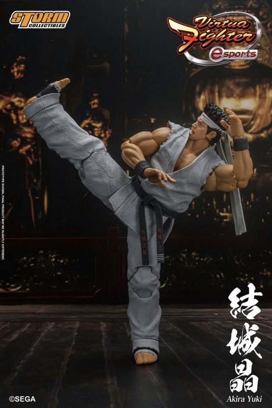 Virtua Fighter Akira Yuki 112 Action Figure 8