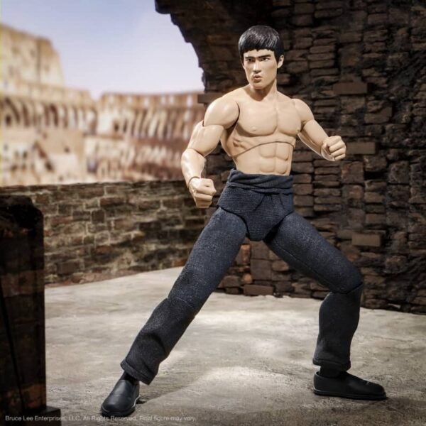 Bruce Lee The Warrior